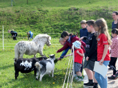 Zirkus Hormersdorf 04