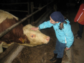 2009-01 roesslerhof 2