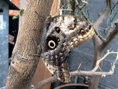 Wandertag Klasse1 01