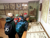 Insekten und Spinnen