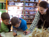 Ist nun in der Eichel und der Banane Staerke drin